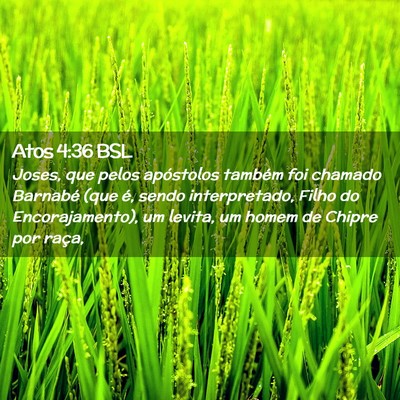 Picture 02 - Atos 4:36 BSL - Joses, que pelos apóstolos também foi chamado - Bible Verse Picture