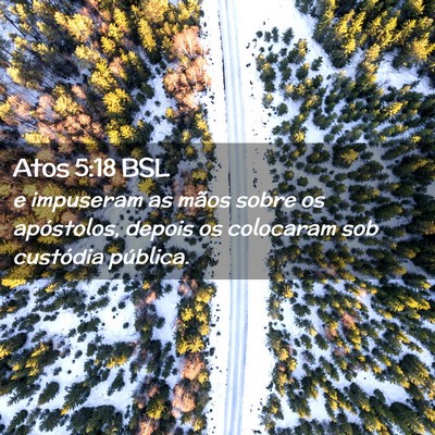 Picture 02 - Atos 5:18 BSL - e impuseram as mãos sobre os apóstolos, depois - Bible Verse Picture