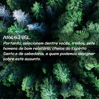 Picture 02 - Atos 6:3 BSL - Portanto, selecionem dentre vocês, irmãos, sete - Bible Verse Picture