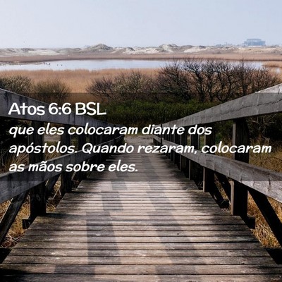 Picture 02 - Atos 6:6 BSL - que eles colocaram diante dos apóstolos. Quando - Bible Verse Picture