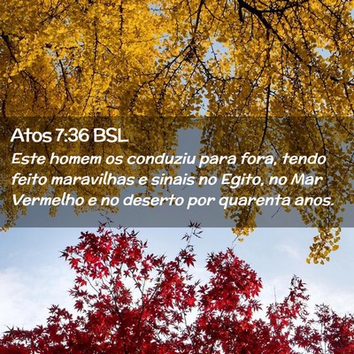 Picture 02 - Atos 7:36 BSL - Este homem os conduziu para fora, tendo feito - Bible Verse Picture