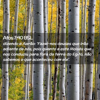 Picture 02 - Atos 7:40 BSL - dizendo a Aarão: 'Fazei-nos deuses que irão - Bible Verse Picture