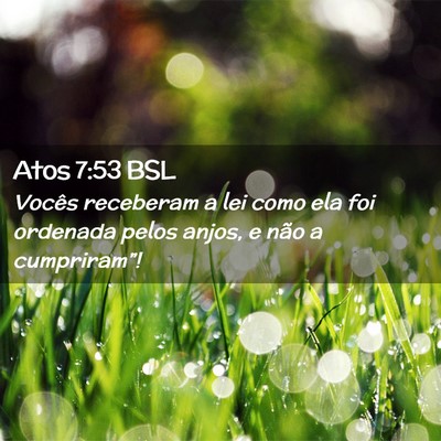 Picture 02 - Atos 7:53 BSL - Vocês receberam a lei como ela foi ordenada - Bible Verse Picture