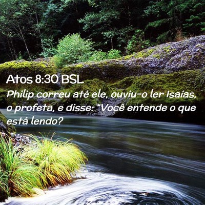 Picture 02 - Atos 8:30 BSL - Philip correu até ele, ouviu-o ler Isaías, o - Bible Verse Picture