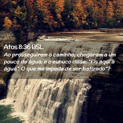 Picture 02 - Atos 8:36 BSL - Ao prosseguirem o caminho, chegaram a um pouco de - Bible Verse Picture