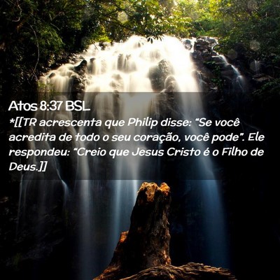Picture 02 - Atos 8:37 BSL - *[[TR acrescenta que Philip disse: “Se você - Bible Verse Picture