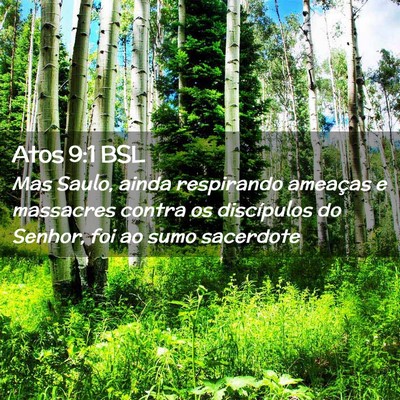 Picture 02 - Atos 9:1 BSL - Mas Saulo, ainda respirando ameaças e massacres - Bible Verse Picture
