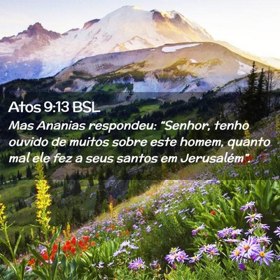 Picture 02 - Atos 9:13 BSL - Mas Ananias respondeu: “Senhor, tenho ouvido de - Bible Verse Picture