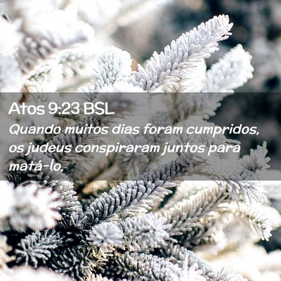Picture 02 - Atos 9:23 BSL - Quando muitos dias foram cumpridos, os judeus - Bible Verse Picture