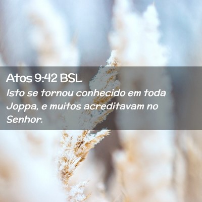 Picture 02 - Atos 9:42 BSL - Isto se tornou conhecido em toda Joppa, e muitos - Bible Verse Picture