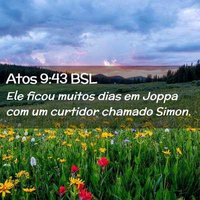 Picture 02 - Atos 9:43 BSL - Ele ficou muitos dias em Joppa com um curtidor - Bible Verse Picture