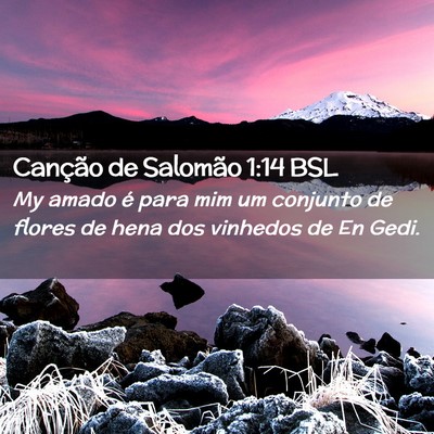 Picture 02 - Canção de Salomão 1:14 BSL - My amado é para mim um conjunto de flores de - Bible Verse Picture
