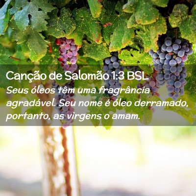 Picture 02 - Canção de Salomão 1:3 BSL - Seus óleos têm uma fragrância agradável. Seu - Bible Verse Picture