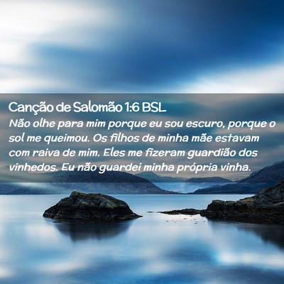 Picture 02 - Canção de Salomão 1:6 BSL - Não olhe para mim porque eu sou escuro, porque o - Bible Verse Picture