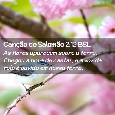 Picture 02 - Canção de Salomão 2:12 BSL - As flores aparecem sobre a terra. Chegou a hora - Bible Verse Picture