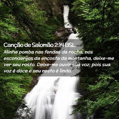 Picture 02 - Canção de Salomão 2:14 BSL - Minha pomba nas fendas da rocha, nos esconderijos - Bible Verse Picture
