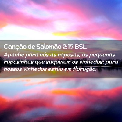 Picture 02 - Canção de Salomão 2:15 BSL - Apanhe para nós as raposas, as pequenas - Bible Verse Picture