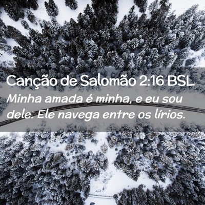Picture 02 - Canção de Salomão 2:16 BSL - Minha amada é minha, e eu sou dele. Ele navega - Bible Verse Picture