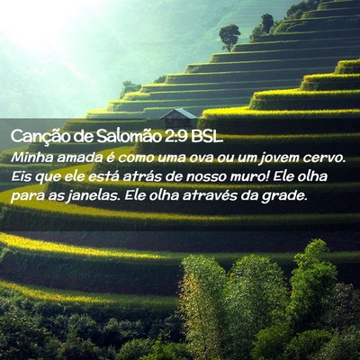 Picture 02 - Canção de Salomão 2:9 BSL - Minha amada é como uma ova ou um jovem cervo. - Bible Verse Picture
