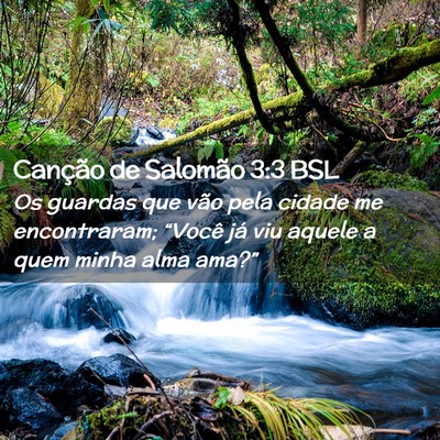 Picture 02 - Canção de Salomão 3:3 BSL - Os guardas que vão pela cidade me encontraram; - Bible Verse Picture