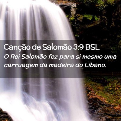 Picture 02 - Canção de Salomão 3:9 BSL - O Rei Salomão fez para si mesmo uma carruagem da - Bible Verse Picture