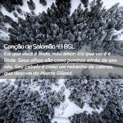 Picture 02 - Canção de Salomão 4:1 BSL - Eis que você é linda, meu amor. Eis que você - Bible Verse Picture