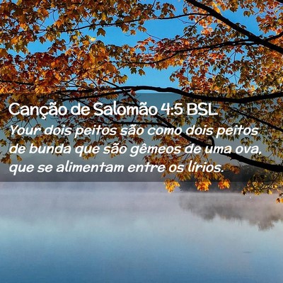 Picture 02 - Canção de Salomão 4:5 BSL - Your dois peitos são como dois peitos de bunda - Bible Verse Picture