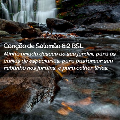 Picture 02 - Canção de Salomão 6:2 BSL - Minha amada desceu ao seu jardim, para as camas - Bible Verse Picture