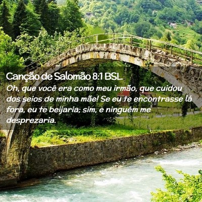 Picture 02 - Canção de Salomão 8:1 BSL - Oh, que você era como meu irmão, que cuidou dos - Bible Verse Picture