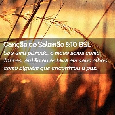 Picture 02 - Canção de Salomão 8:10 BSL - Sou uma parede, e meus seios como torres, então - Bible Verse Picture