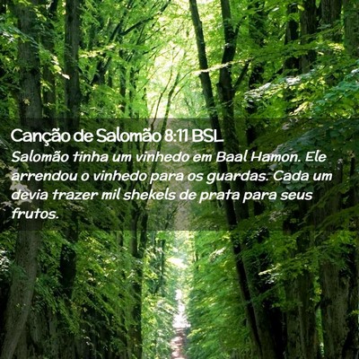 Picture 02 - Canção de Salomão 8:11 BSL - Salomão tinha um vinhedo em Baal Hamon. Ele - Bible Verse Picture