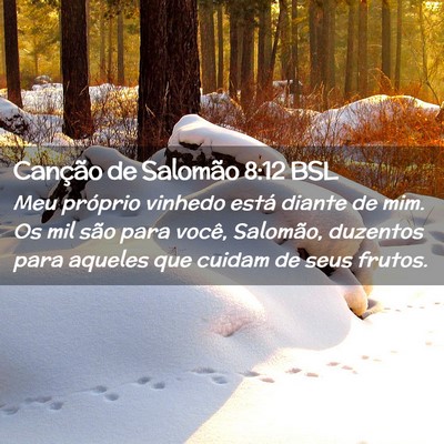 Picture 02 - Canção de Salomão 8:12 BSL - Meu próprio vinhedo está diante de mim. Os mil - Bible Verse Picture