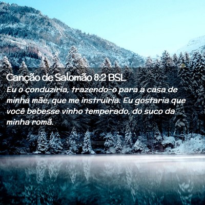 Picture 02 - Canção de Salomão 8:2 BSL - Eu o conduziria, trazendo-o para a casa de minha - Bible Verse Picture