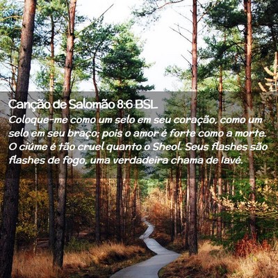 Picture 02 - Canção de Salomão 8:6 BSL - Coloque-me como um selo em seu coração, como um - Bible Verse Picture