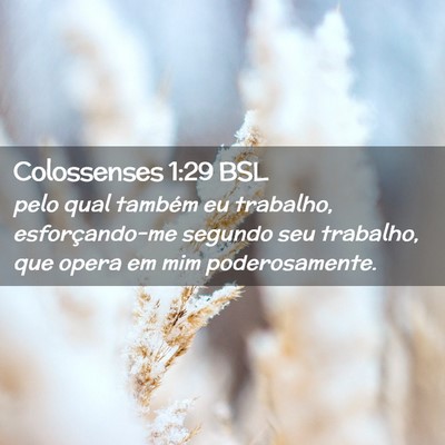 Picture 02 - Colossenses 1:29 BSL - pelo qual também eu trabalho, esforçando-me - Bible Verse Picture