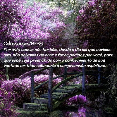 Picture 02 - Colossenses 1:9 BSL - Por esta causa, nós também, desde o dia em que - Bible Verse Picture