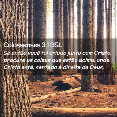 Picture 02 - Colossenses 3:1 BSL - Se então você foi criado junto com Cristo, - Bible Verse Picture