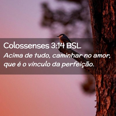 Picture 02 - Colossenses 3:14 BSL - Acima de tudo, caminhar no amor, que é o - Bible Verse Picture