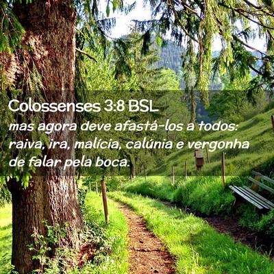 Picture 02 - Colossenses 3:8 BSL - mas agora deve afastá-los a todos: raiva, ira, - Bible Verse Picture