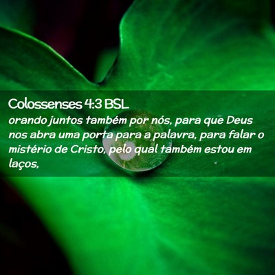 Picture 02 - Colossenses 4:3 BSL - orando juntos também por nós, para que Deus nos - Bible Verse Picture