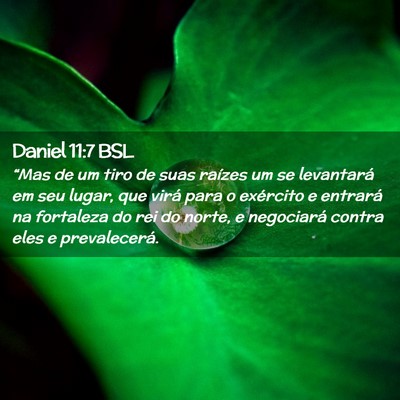 Picture 02 - Daniel 11:7 BSL - “Mas de um tiro de suas raízes um se - Bible Verse Picture
