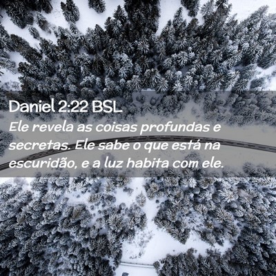 Picture 02 - Daniel 2:22 BSL - Ele revela as coisas profundas e secretas. Ele - Bible Verse Picture