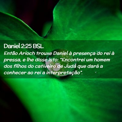 Picture 02 - Daniel 2:25 BSL - Então Arioch trouxe Daniel à presença do rei - Bible Verse Picture