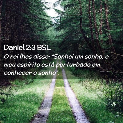 Picture 02 - Daniel 2:3 BSL - O rei lhes disse: “Sonhei um sonho, e meu - Bible Verse Picture