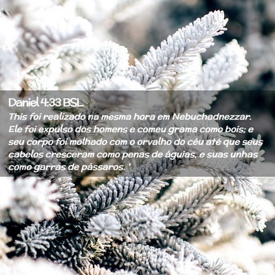 Picture 02 - Daniel 4:33 BSL - This foi realizado na mesma hora em - Bible Verse Picture