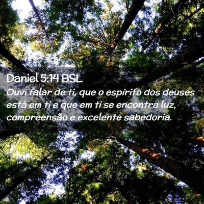 Picture 02 - Daniel 5:14 BSL - Ouvi falar de ti, que o espírito dos deuses - Bible Verse Picture