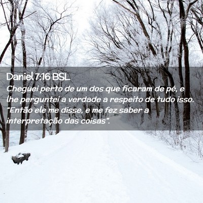 Picture 02 - Daniel 7:16 BSL - Cheguei perto de um dos que ficaram de pé, e lhe - Bible Verse Picture
