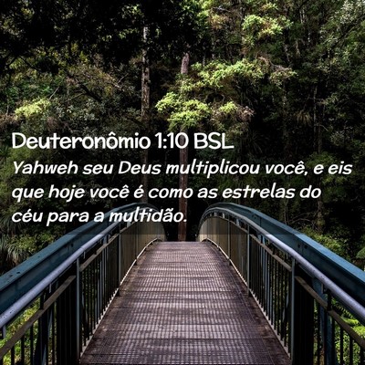 Picture 02 - Deuteronômio 1:10 BSL - Yahweh seu Deus multiplicou você, e eis que hoje - Bible Verse Picture