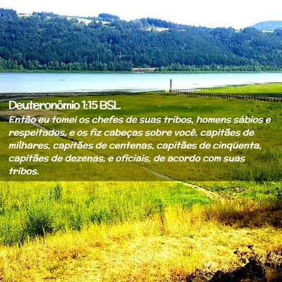 Picture 02 - Deuteronômio 1:15 BSL - Então eu tomei os chefes de suas tribos, homens - Bible Verse Picture