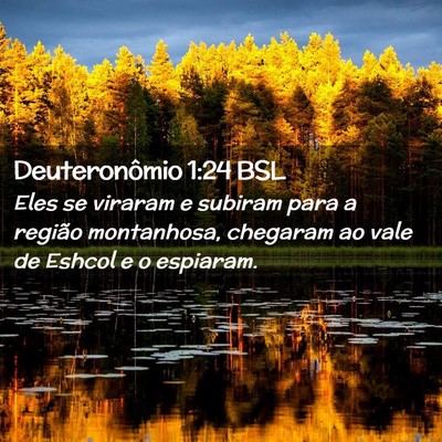 Picture 02 - Deuteronômio 1:24 BSL - Eles se viraram e subiram para a região - Bible Verse Picture